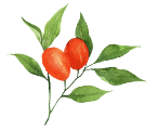 Gojibeeren