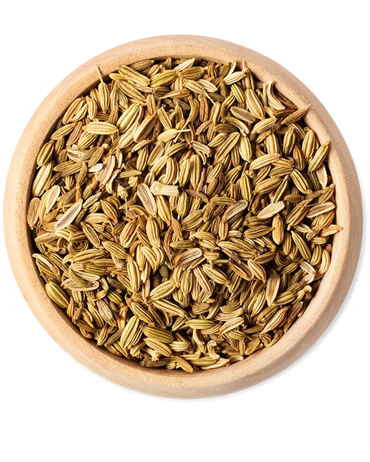 Bio Fenchel 100 g