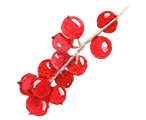 Currants
