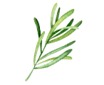 Estragon
